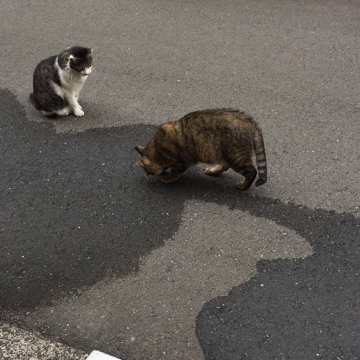 40e9fee4 c2a2 4e75 b49b 08dd02465413