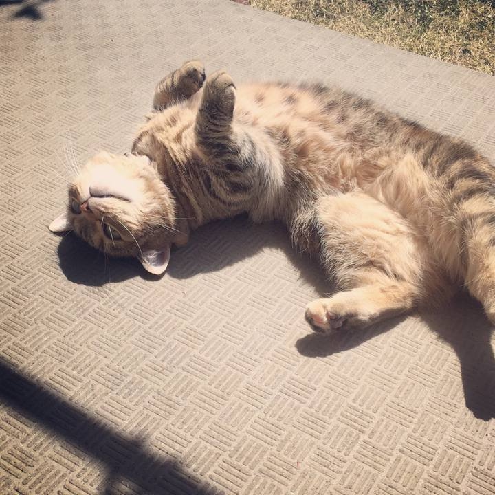 40ea55d9 ca07 4d22 820a 706e841d1d2c