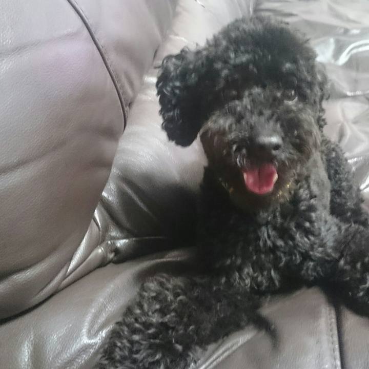 40eb4d70 fe03 462e 8c74 668eb674cbce