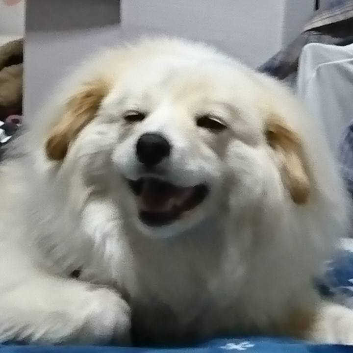 40ebfdbb 24f8 4db4 91ee 21f6d3cdc8d1