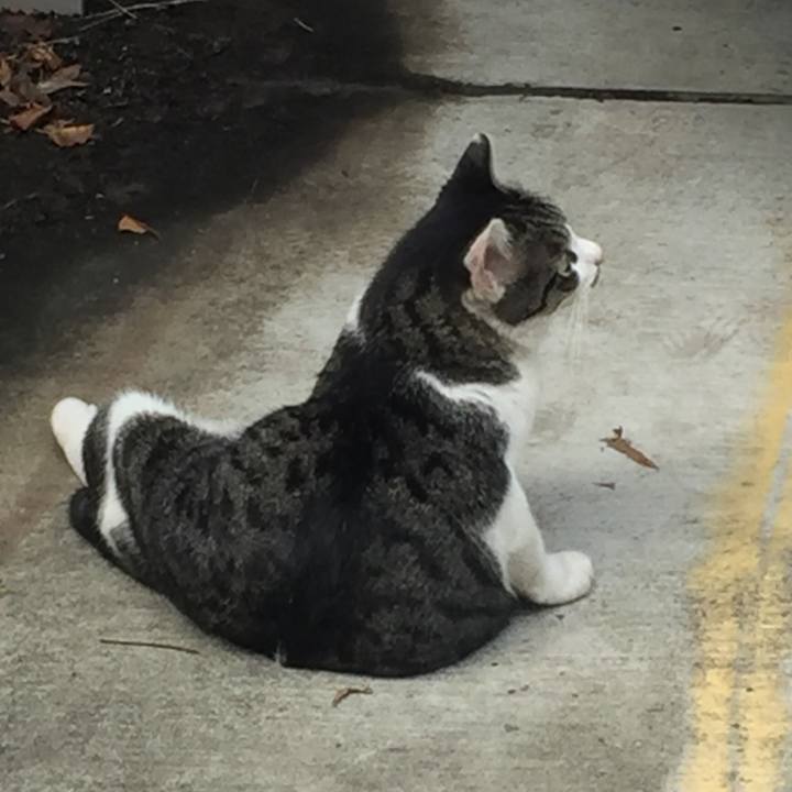 40ec7712 1578 4a44 a971 d1fbc53f0c78