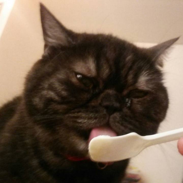 40ec8cd6 6ea5 4392 a0c2 03b1027b42d2