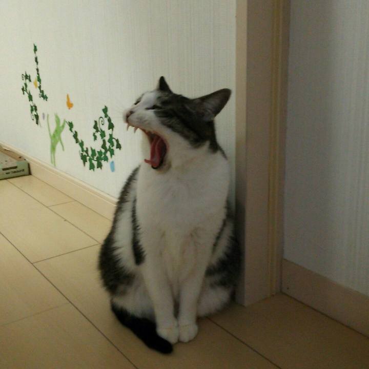 40ed0347 d767 4d71 bebb e458155566d8