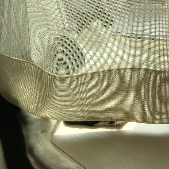 40ee0811 c171 476b a017 e9650fce67fc