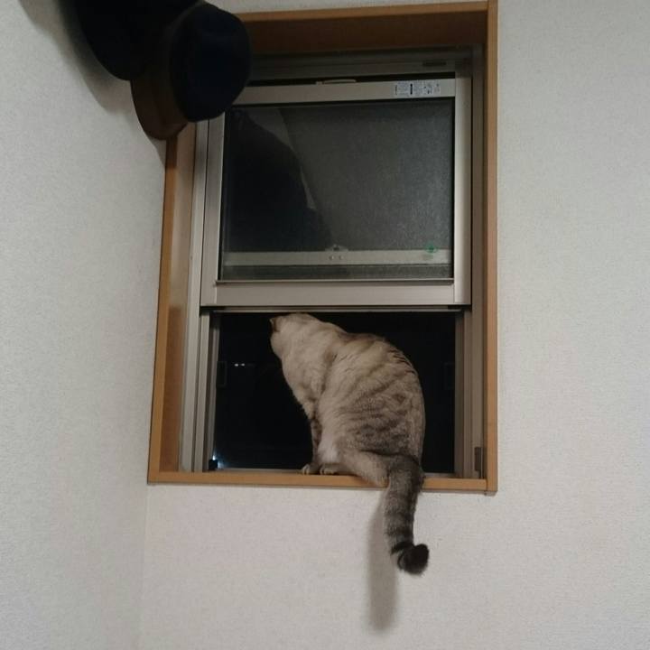 40ee2208 e465 4711 94c2 5fdd78bc66a5