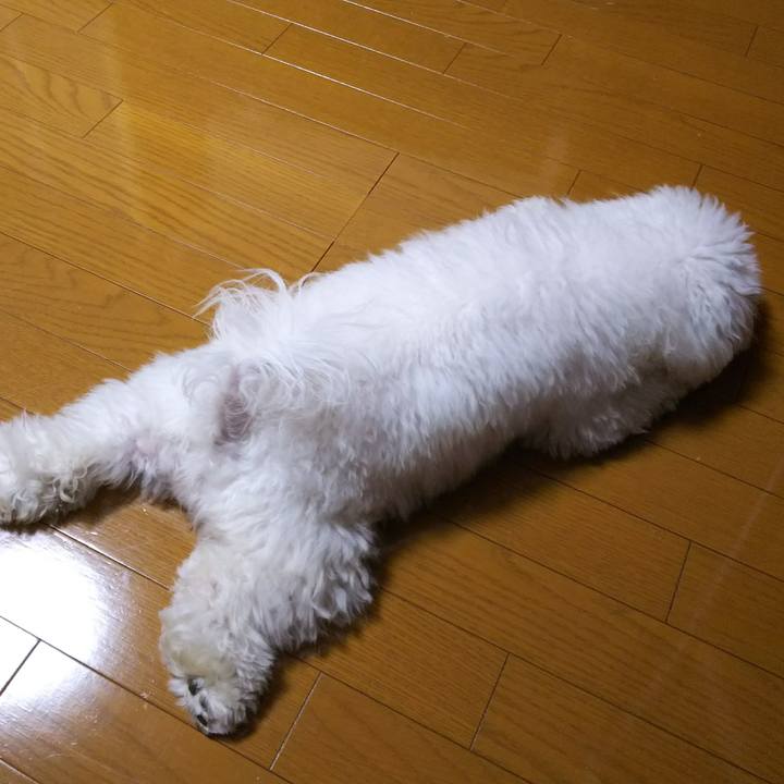 40ee565c 9e0b 465b be82 ceeb6fb55322