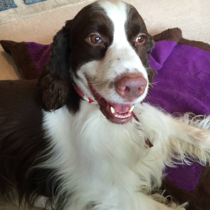 40f0745f 1c9b 4f9a 8cb2 ae56d86918c8