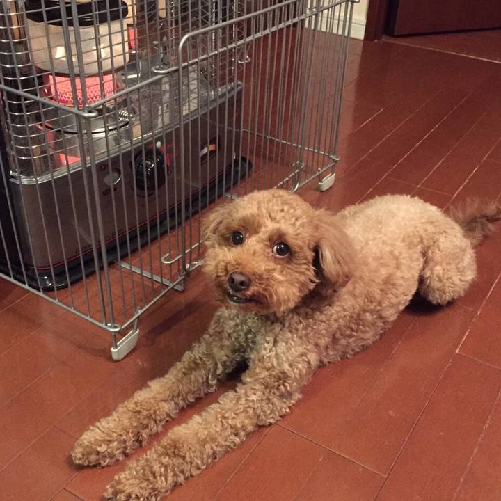 40f0b7e3 3b47 4613 a2d3 f0ab89b3e32f