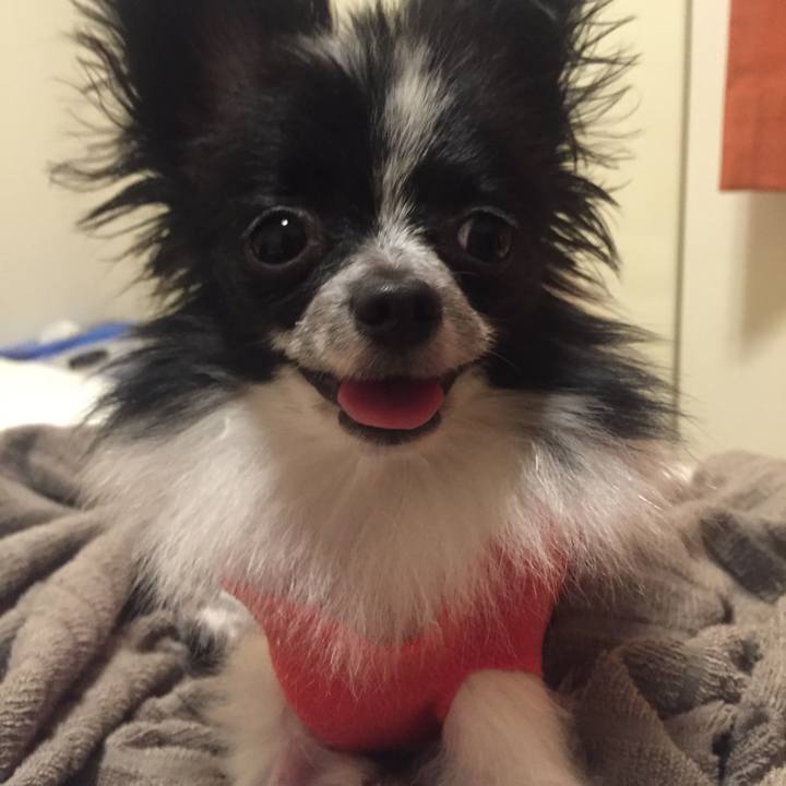 40f12a7c eae1 4b85 914b b8d139f9dcea