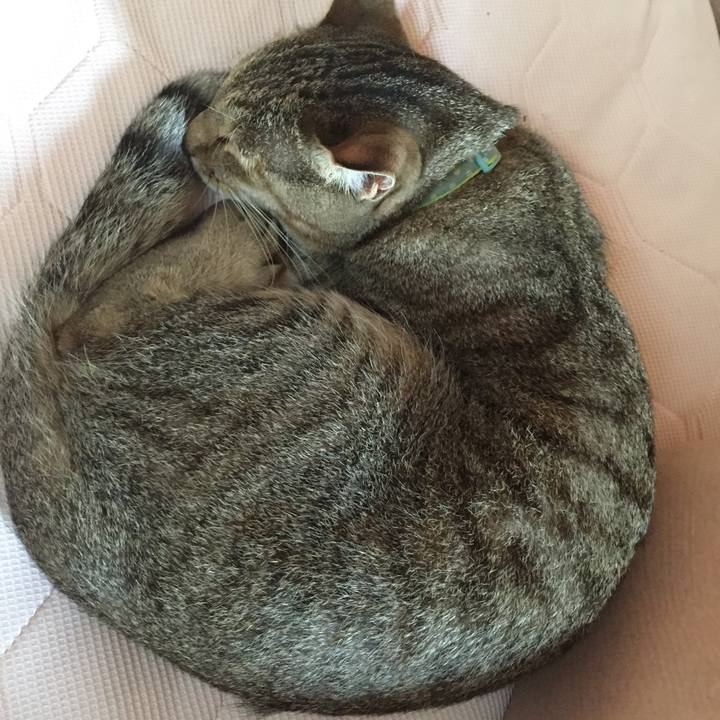 40f294ac c1ce 4f1b 9240 3ea9b238bb15