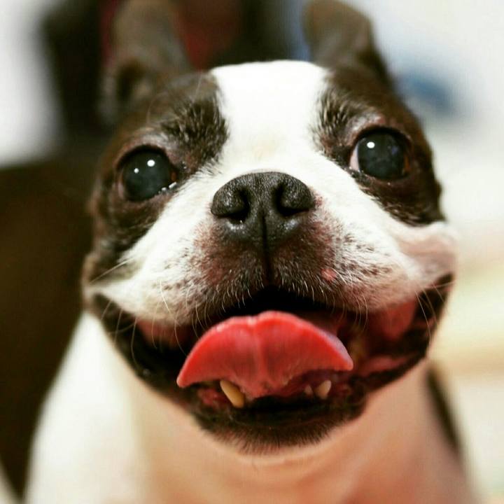 40f2eb60 e932 46f2 ae9c d8707cd6b8c6