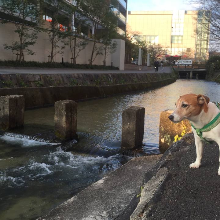 40f2fa50 edc3 4af8 947f 6e6e40798592