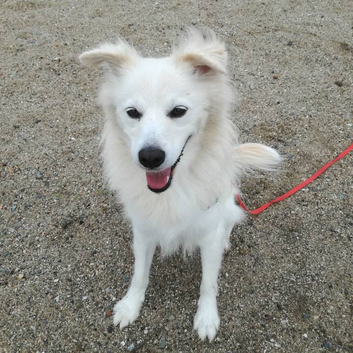 40f306d1 c52b 407c b261 026e236ac921