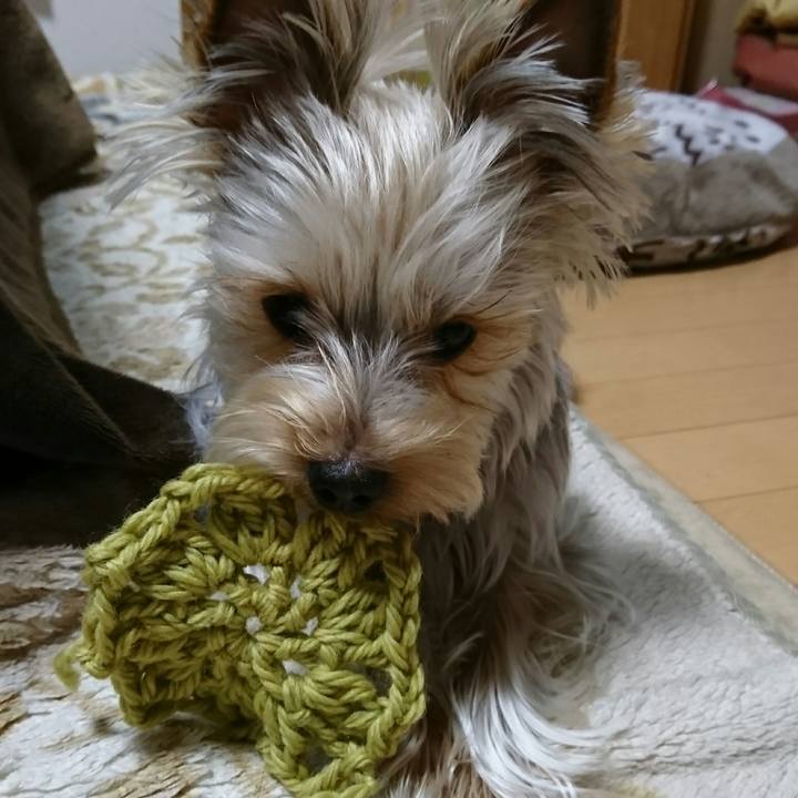 40f36f09 b51b 45ca bf29 9de1da616146