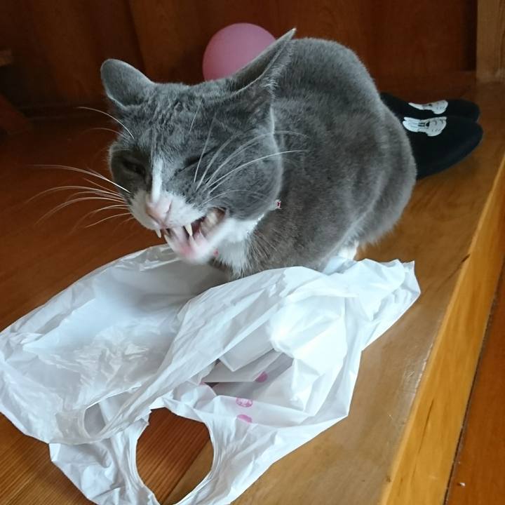 40f42b4b 1956 4c4f 83e4 24efffa6e3c0