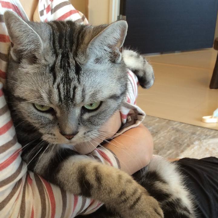 40f54098 03f1 47a7 b846 6abd4fbe981f