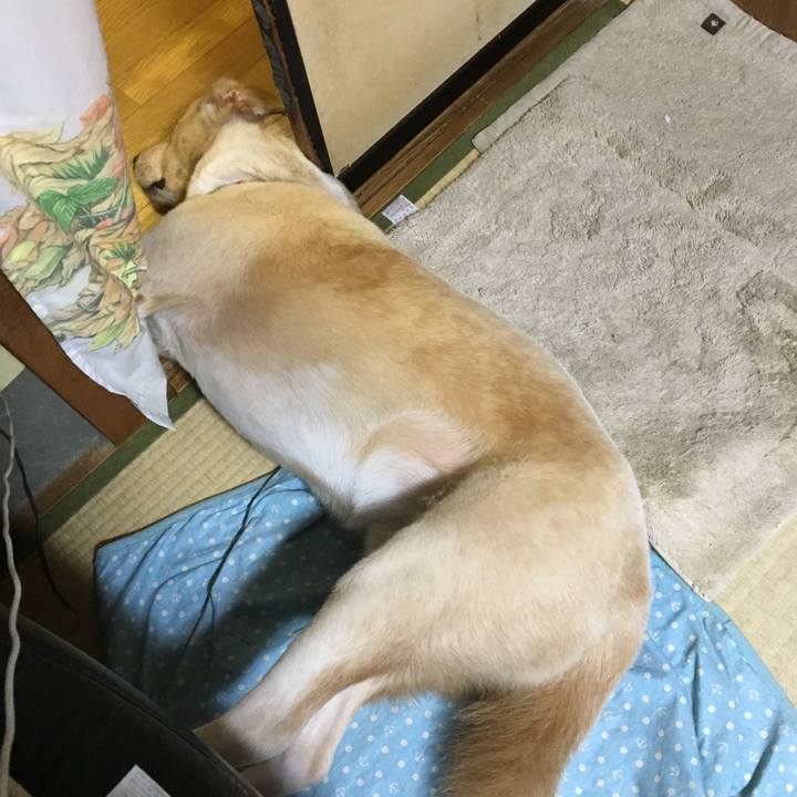 40f5932e c2ab 4d88 9aca 43f32c96165c