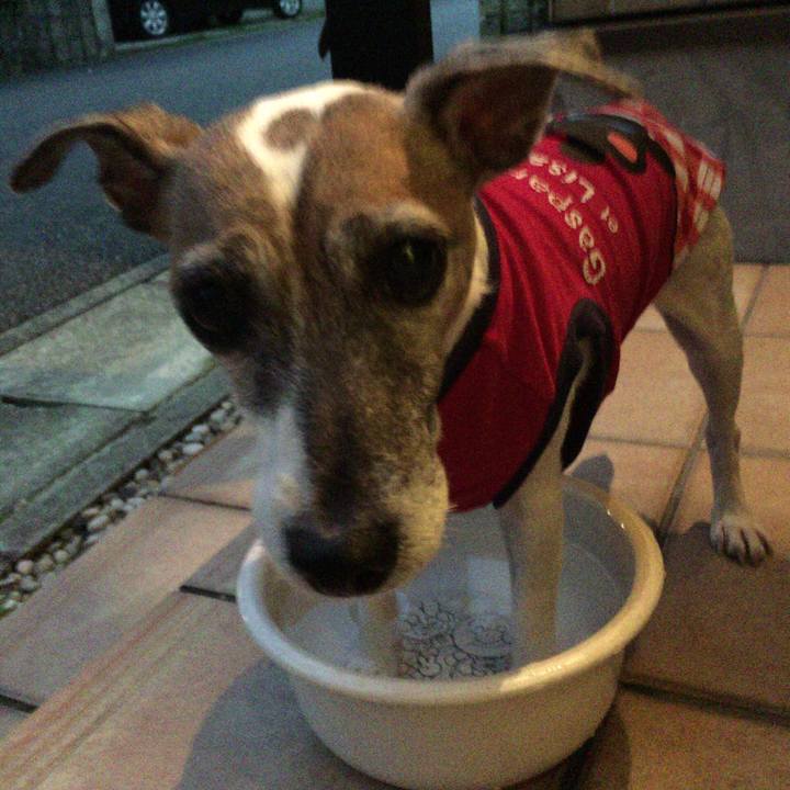 40f598a5 76d7 4256 bc9f 7e484f60da6b