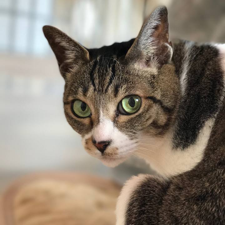 40f5fd19 231e 4805 90c8 c80636eca793