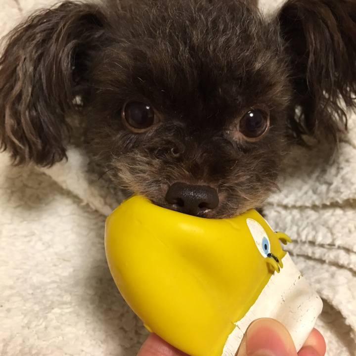 40f6399d b56d 4941 869a 07d0ea9159ff