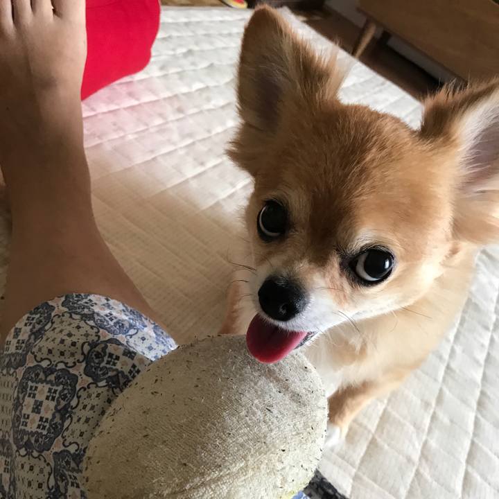 40f6b29e 100c 4089 8db3 f97bb9c02f01