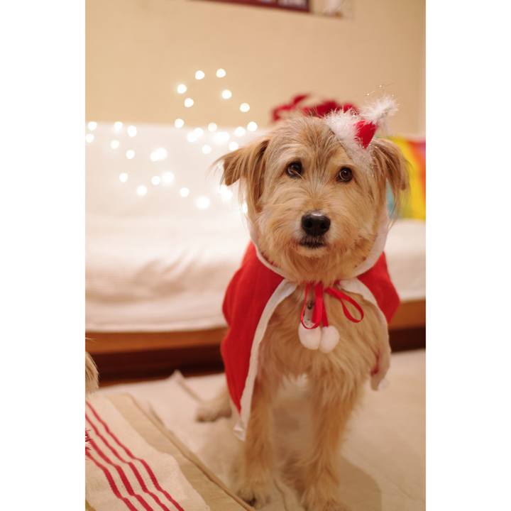 40f70ca0 3ccd 41f6 9546 d93bd9c5fe18