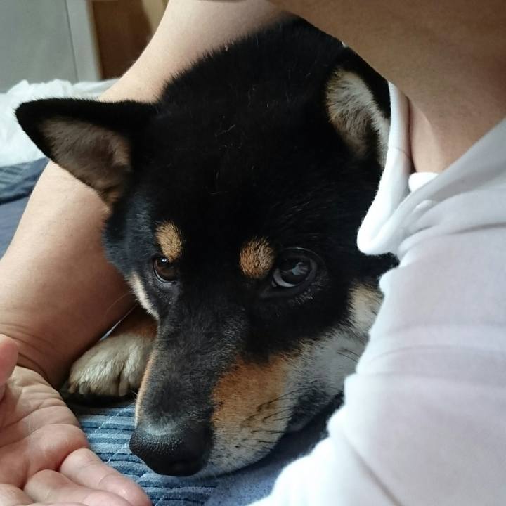 40f866ae ed78 47c2 bc01 9dda521275b9