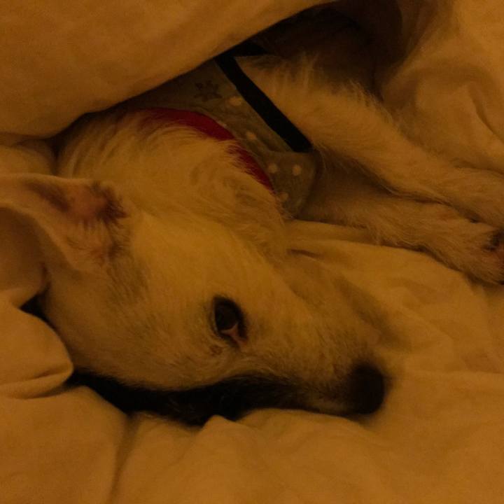 40f87228 2f7b 418d 91bc 01de4a244ea4