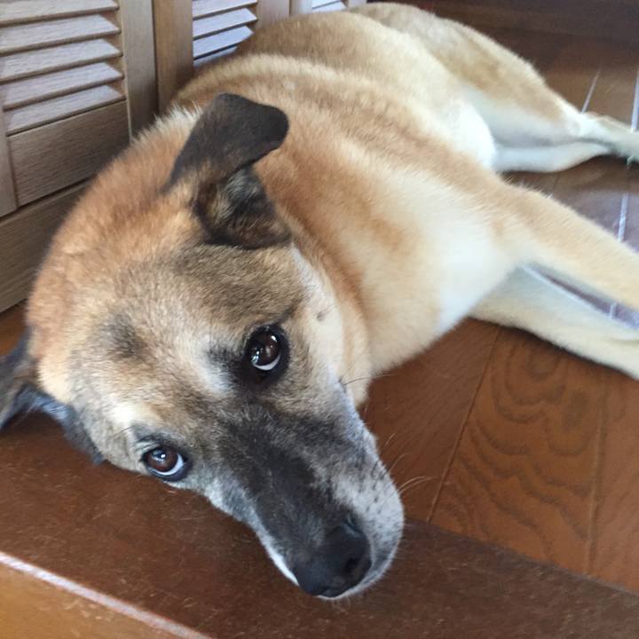 40f88a59 f857 4a86 85e9 3142017570c9