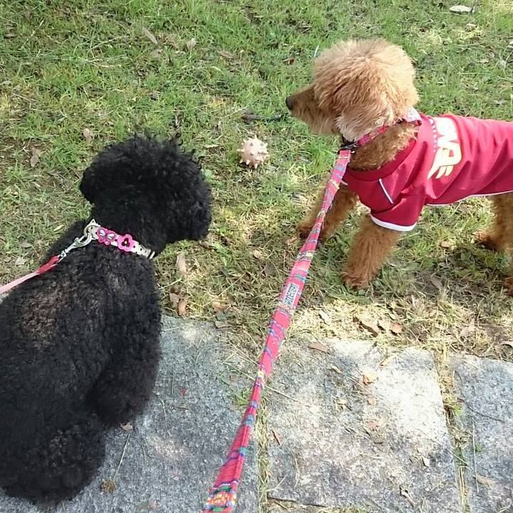 40f8a35b ddb2 44f5 b4d4 59d2ab931aaf