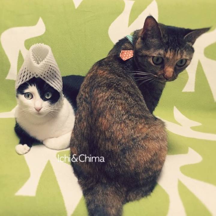 40f8f908 6b2d 4b05 a559 843c8e023f28