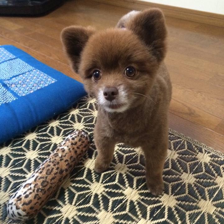 40f9025d d8df 4016 879c d664c00333af