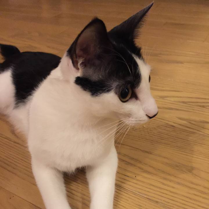 40fa6f57 e764 47a7 9be6 4abd6c5c9cd0