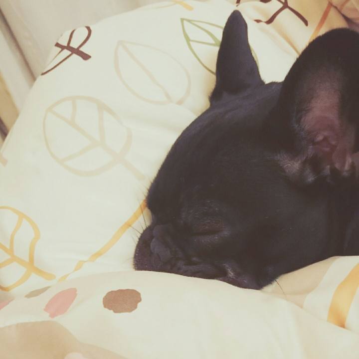 40fb4c99 e33b 4af2 b455 2710fce67819