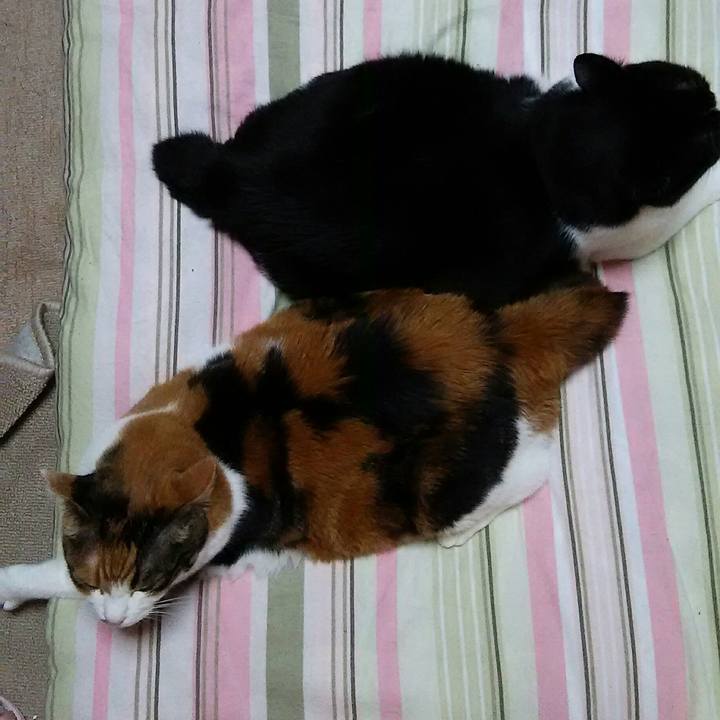 40fbad41 1b2f 47ae 88de c47bdfa23e63