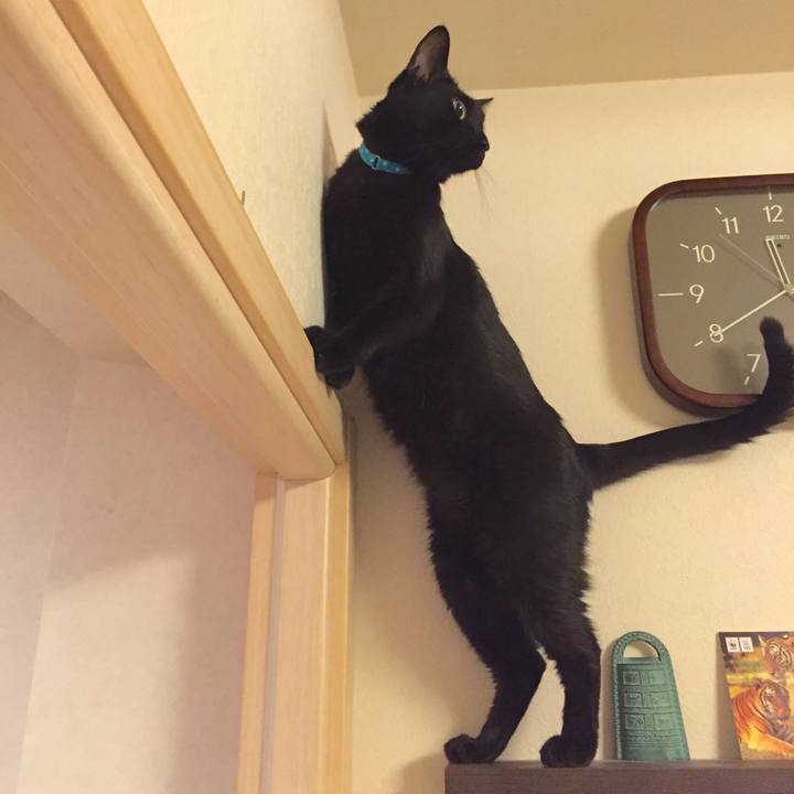 40fc3aae e811 411e b20f b9766c500fac