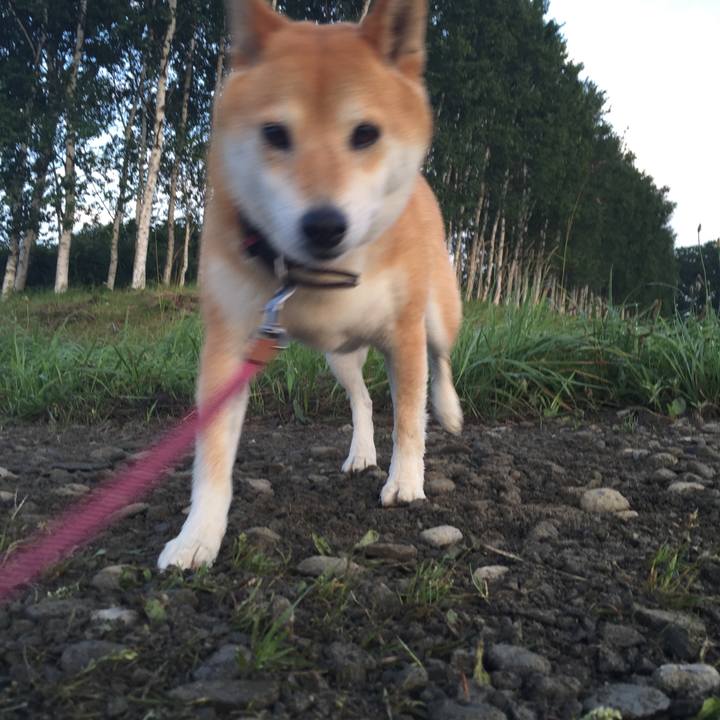 40fc4e1d 62b8 4b7e a773 76b449d29054