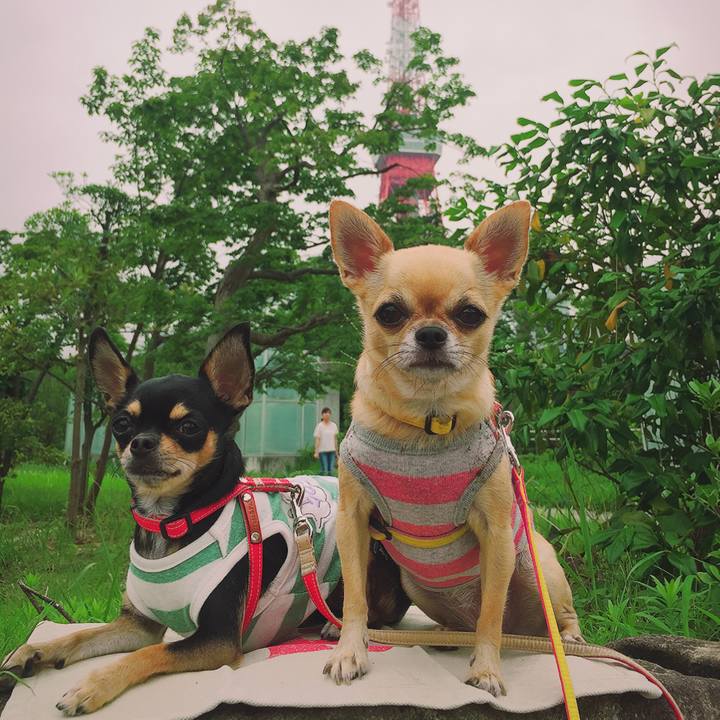 40fcbf50 8a59 4787 9b8e b10a5959b6c5