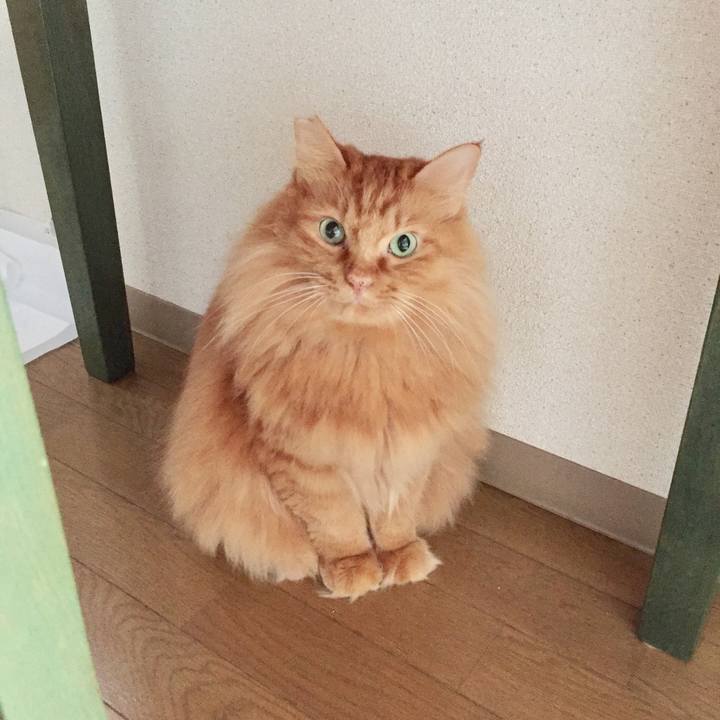 40fcdc6d 5bfb 4a2f 92fe 6d1195065d0a