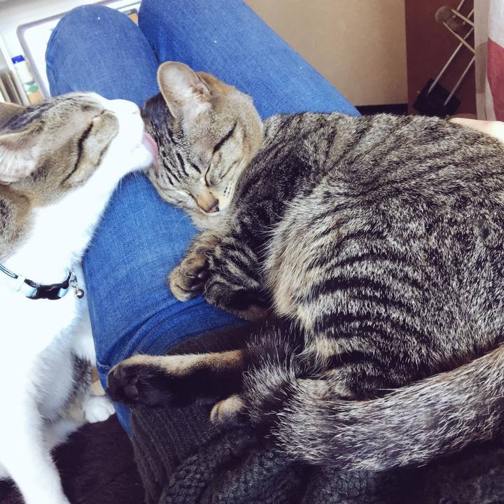 40fcef14 dd79 4ea3 abe7 c339f7495151