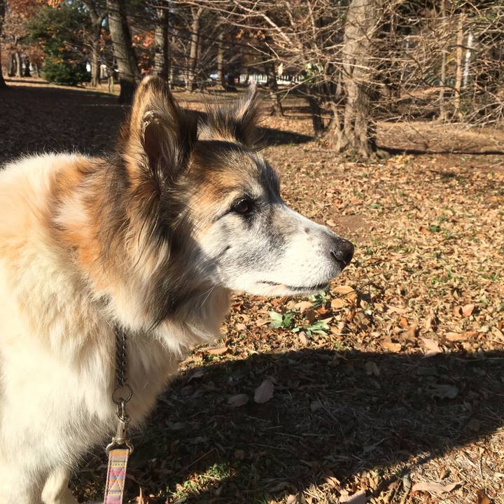 40fd3308 4066 44cf aad2 ff141aa94780