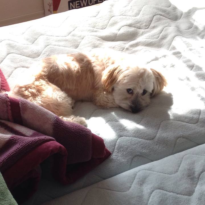 40fd4acf 814a 4065 848b 86547876b82d