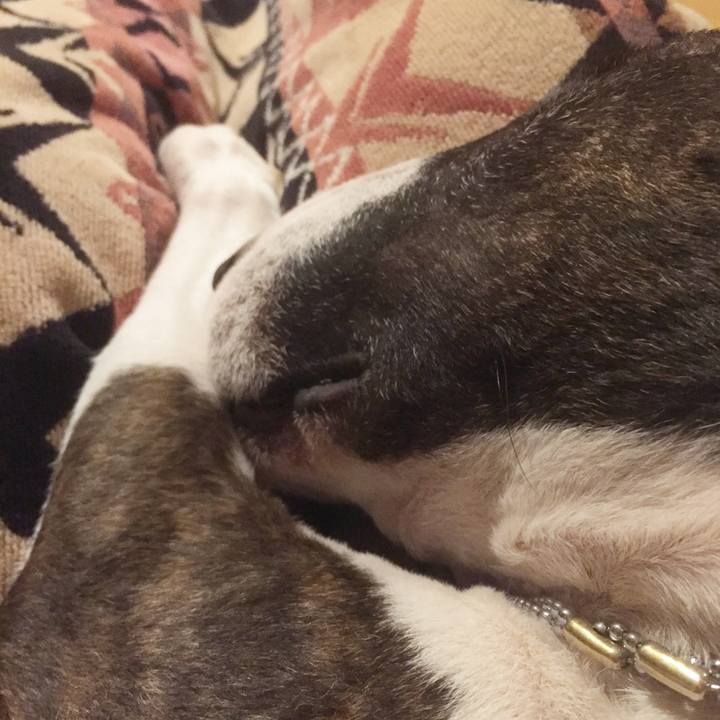 40fdc647 6c13 461d bcda 450b55770195