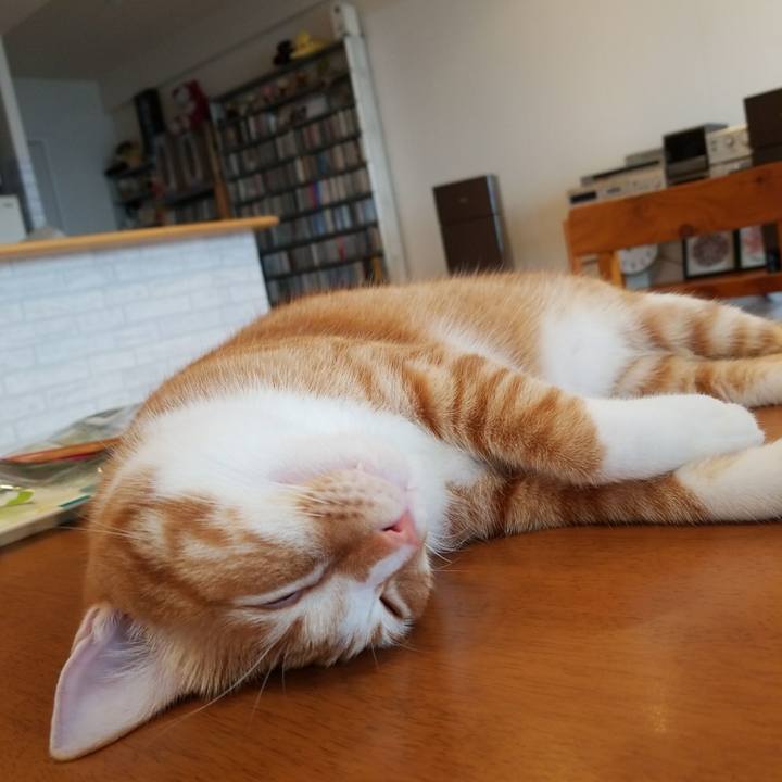 40fdcf07 e537 457e bb47 d06416098147