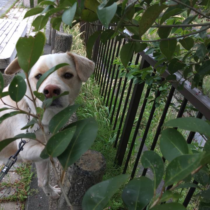 40fe5847 9191 4e51 b099 b4fa823e0c2a