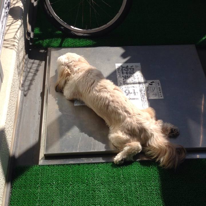 40fedd5a c084 43e3 aca4 d8ad969408d2