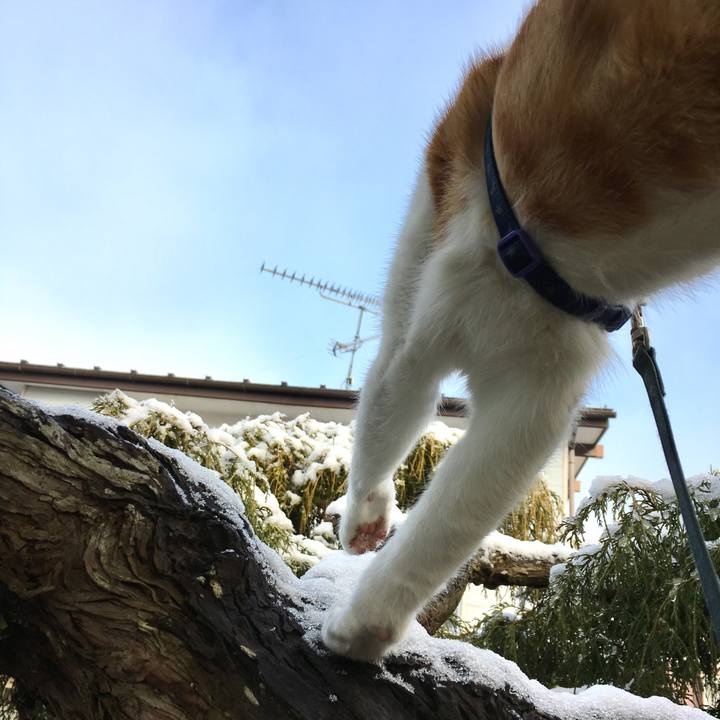 40ff1ec9 8748 4fa6 be4b d6f744cf44e3