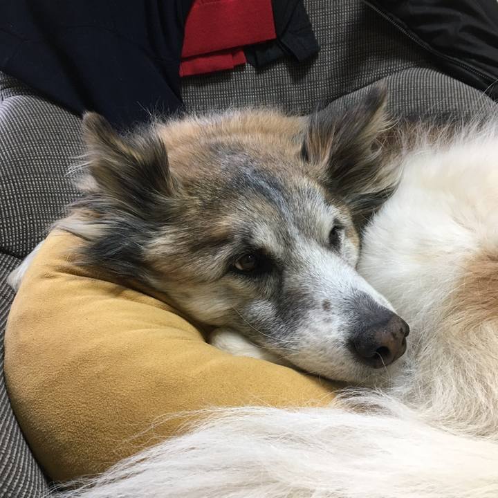 41002a78 00b0 47ce 95c5 380db6892444