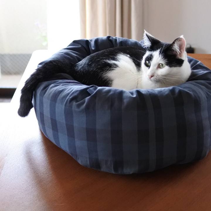 4100405e 43af 43c4 900a dd9cd8f8f64f