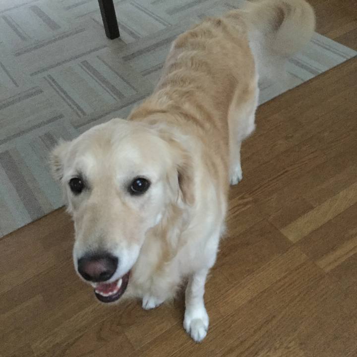 410077f2 0076 4647 836f 3b5f23f3a897